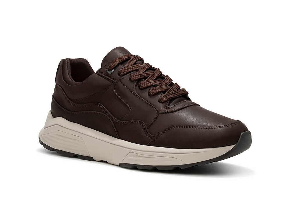 Mens Golden Gate Dark Brown Trainers