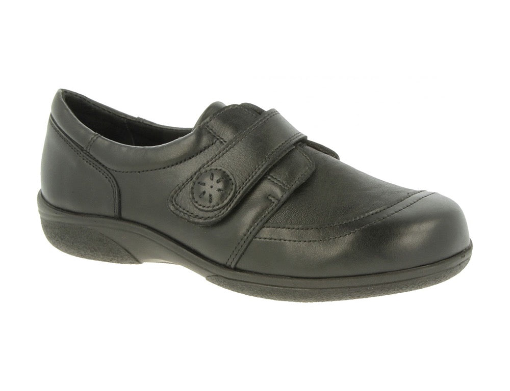DB Wider Fit Shoes Owl Black Stretch ShoeMed