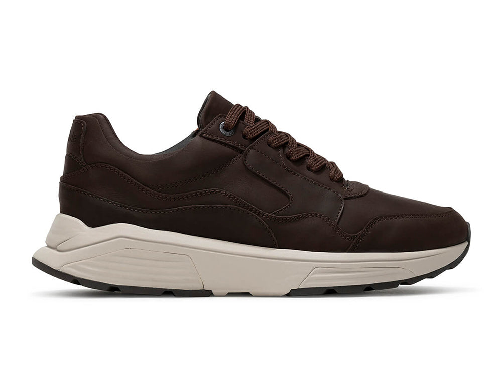 Mens Golden Gate Dark Brown Trainers