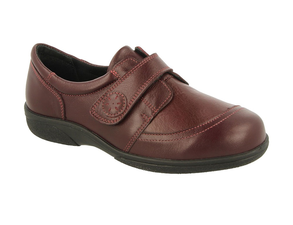 DB Wider Fit Shoes Owl Burgundy Stretch ShoeMed