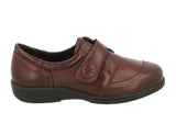 DB Wider Fit Shoes Owl Burgundy Stretch ShoeMed