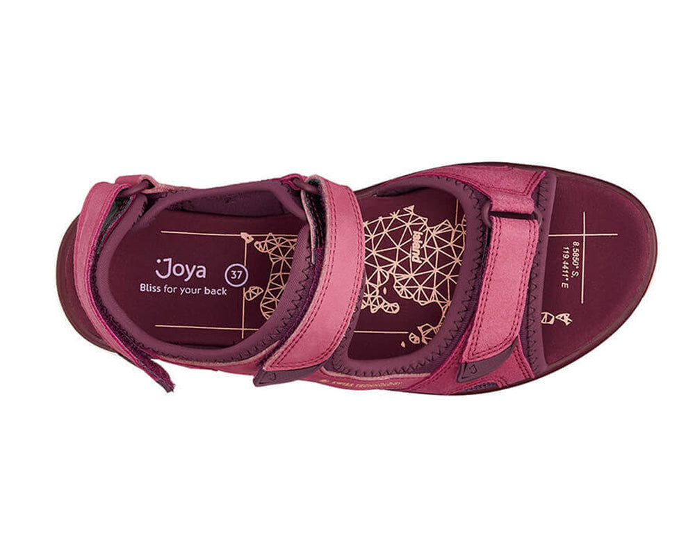 Joya Komodo Violet ShoeMed